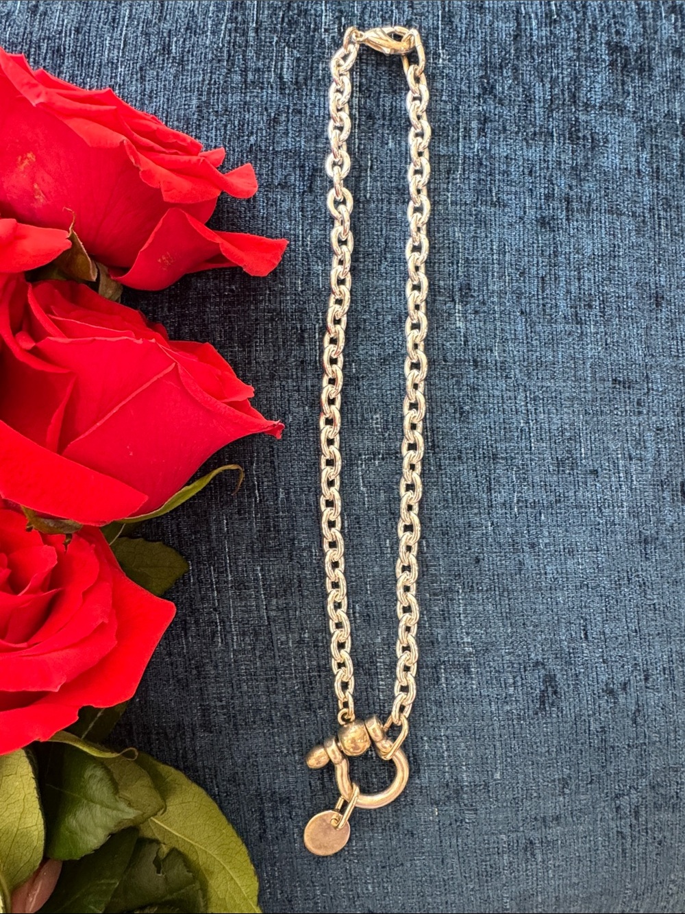 Silver-Tone Chunky Link Necklace with Toggle Clasp